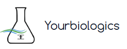 YourBiologics Logo